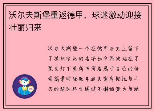 沃尔夫斯堡重返德甲，球迷激动迎接壮丽归来