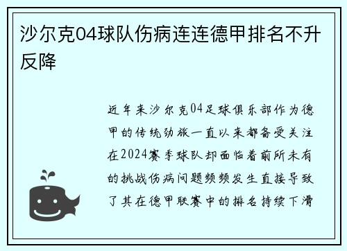 沙尔克04球队伤病连连德甲排名不升反降